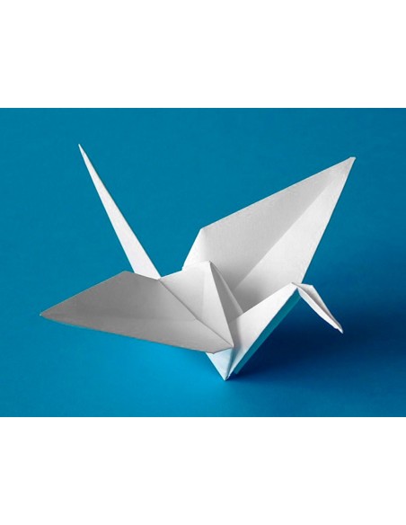 Cartulina liderpapel 50x65 cm 240g/m2 blanco