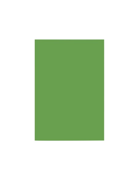 Cartulina liderpapel a4 180g/m2 verde abeto...
