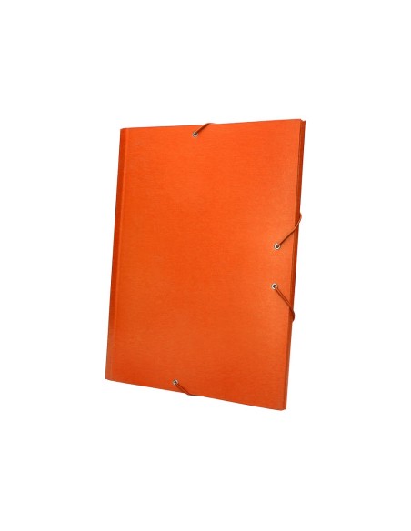 Carpeta clasificadora liderpapel 12...