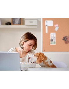 Pizarra corcho q-connect...