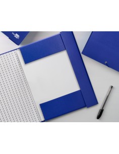 Carpeta proyectos...