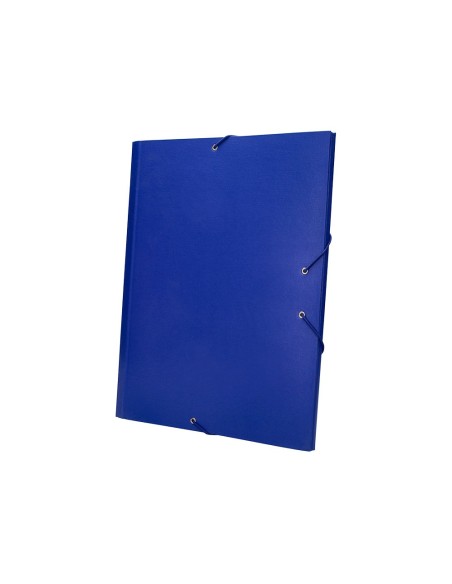 Carpeta clasificadora liderpapel 12...