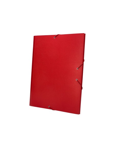 Carpeta clasificadora liderpapel 12...