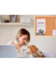 Pizarra corcho q-connect...