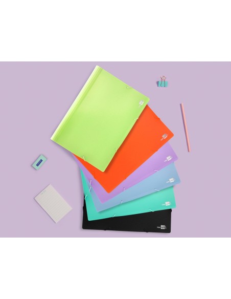 Carpeta liderpapel clasificador fuelle...
