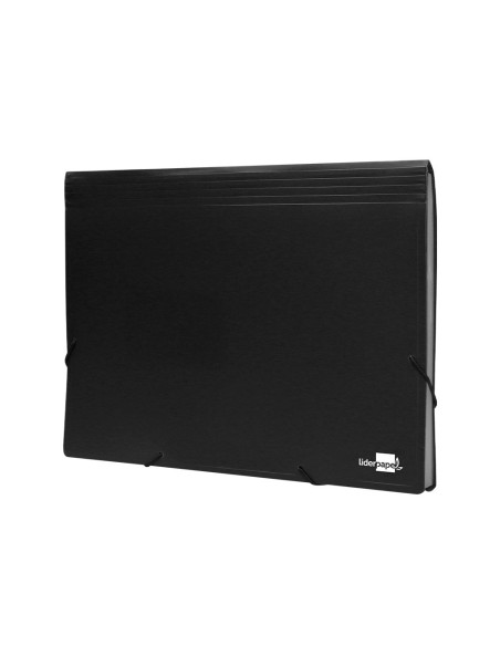 Carpeta liderpapel clasificador fuelle...
