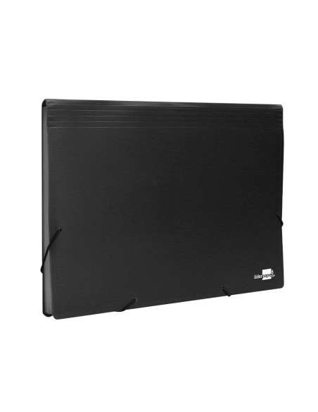 Carpeta liderpapel clasificador fuelle...
