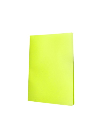 Carpeta liderpapel escaparate 30 fundas...