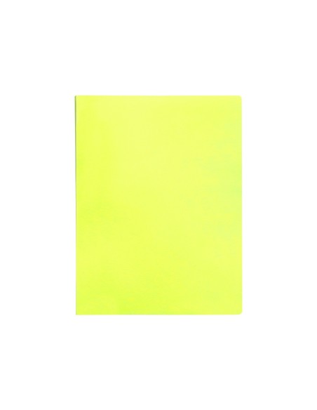 Carpeta liderpapel escaparate 10 fundas...