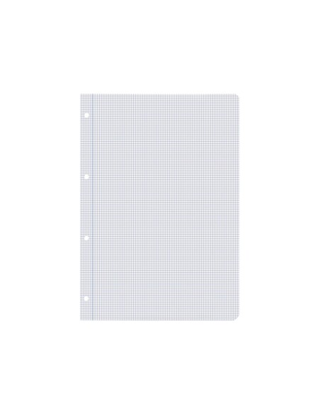 Recambio liderpapel a4 100 hojas 60g/m2 cuadro...