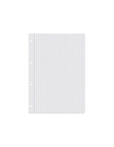 Recambio liderpapel a4 100 hojas 60g/m2 cuadro...