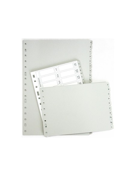 Separador alfabetico multifin 3002 plastico...