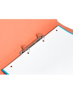 Carpeta de 2 anillas 25mm... 2