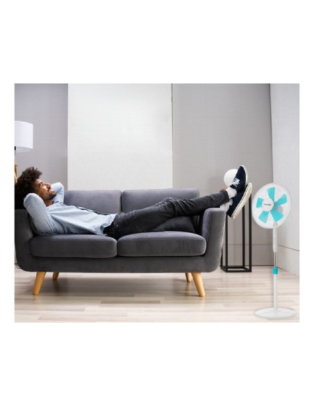 Ventilador blaupunkt pie base redonda 5 aspas 3...