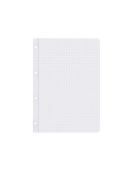 Recambio liderpapel a4 100 hojas papel reciclado 100% 80g/m2 cuadro 4mm con margen 4 taladros