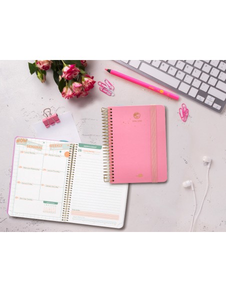 Agenda escolar liderpapel año 24 - 25 curso classic lines rosa día página a6