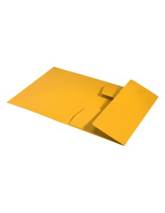 Subcarpeta leitz recycle...