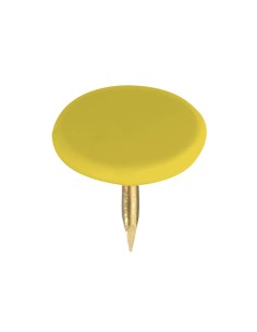 Chincheta lismania office...