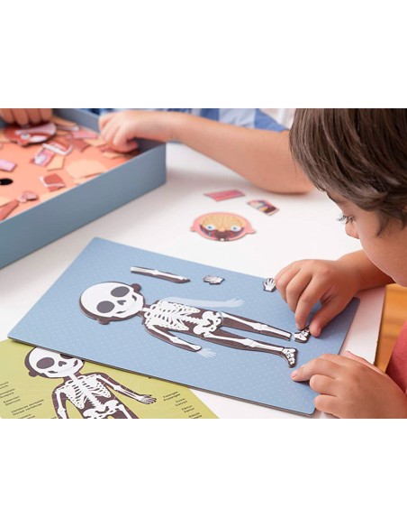 Juego apli didactico magnetico el cuerpo humano