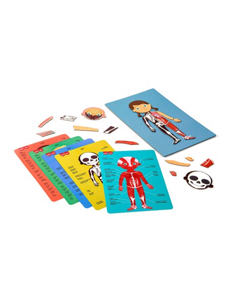 Juego apli didactico magnetico el cuerpo humano