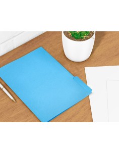 Subcarpeta cartulina...