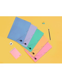 Carpeta liderpapel gomas...