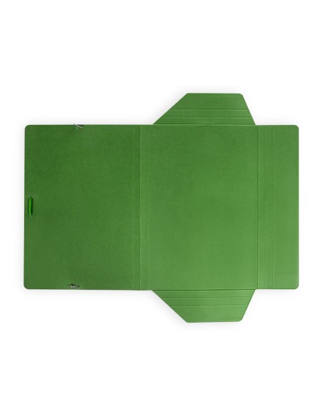 Carpeta liderpapel gomas folio 3 solapas carton...