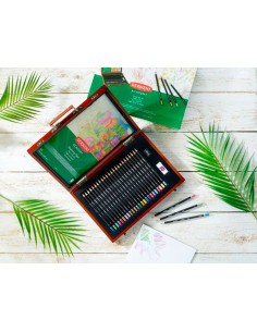 Estuche de pintura derwent...