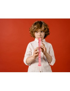 Flauta hohner 9508 color... 2