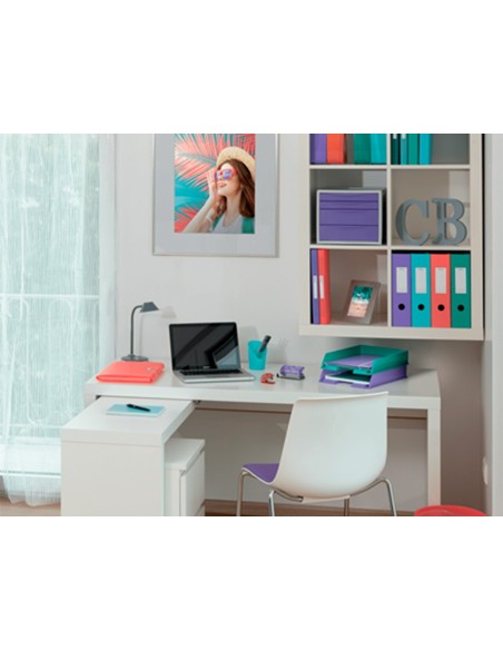 Archivador de palanca esselte colour breeze...